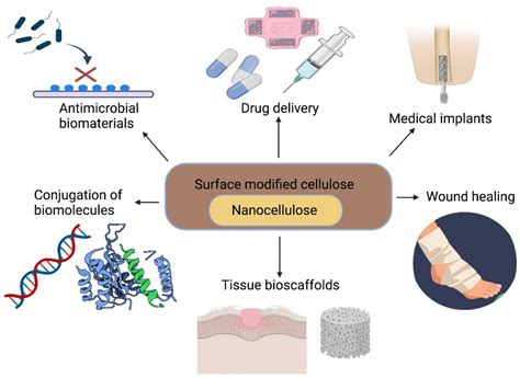 Keratin: En Hållbar Biomaterial för Revolutionerande Medicinska Implantat!