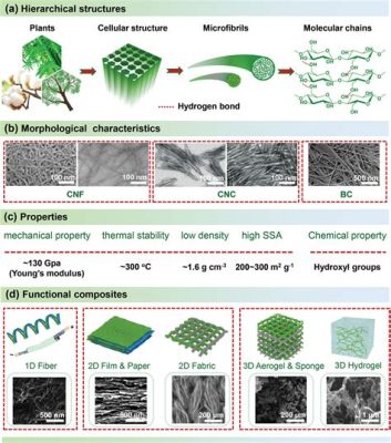  Nanocellulosa: Ett revolutionerande material för avancerade kompositstrukturer och högpresterande bioplaster!